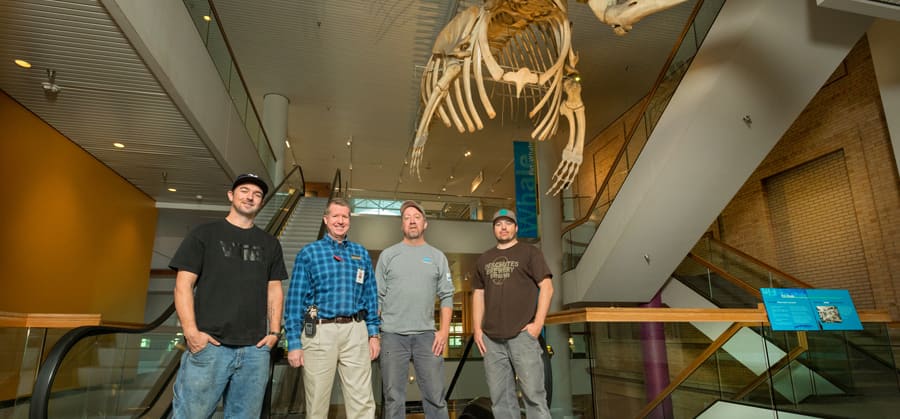 img_A night at the museum_additional_01_900x419